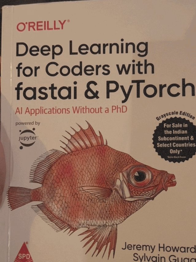 Returning to Neural Networks: Catching Up After Years Away