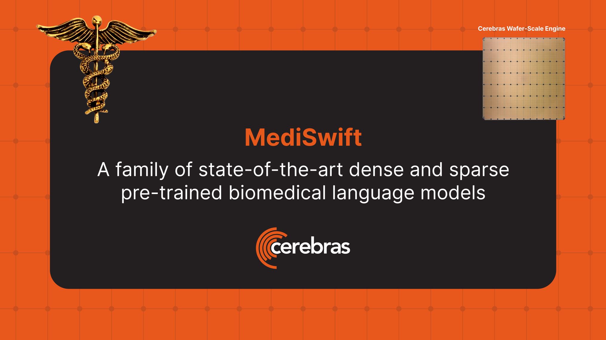 MediSwift: Sparse Biomedical Language Models Reduce Computational Costs