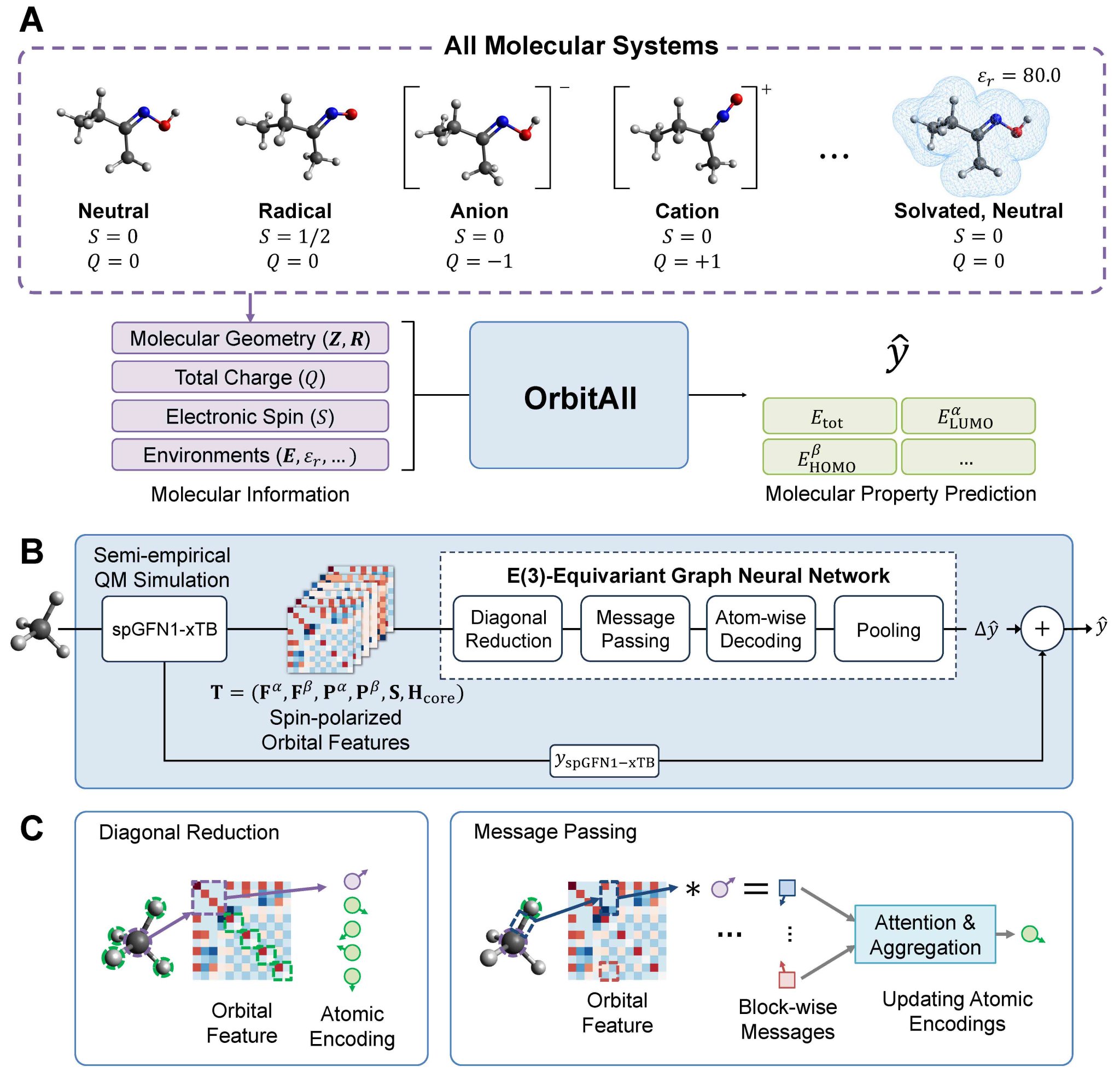 OrbitAll: Unified Quantum Deep Learning for Molecular Systems