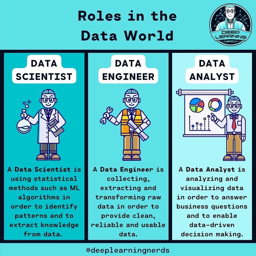 Data Careers: Engineers, Scientists, and Analysts Driving Business Success