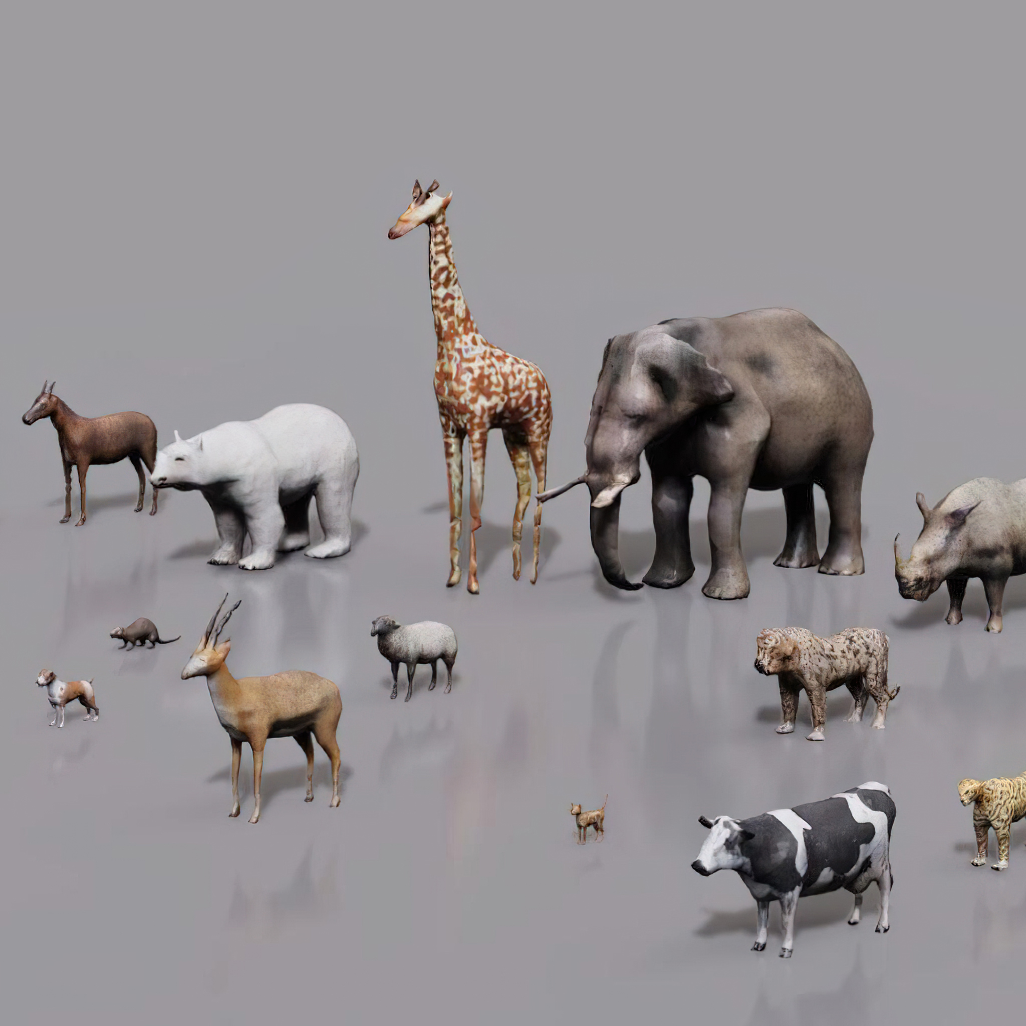 NVIDIA VP on AI and 3D Internet Content Creation