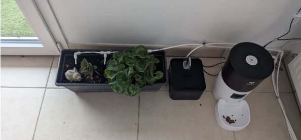 Smart Pet Feeder with Edge AI Monitoring and Activity Tracking