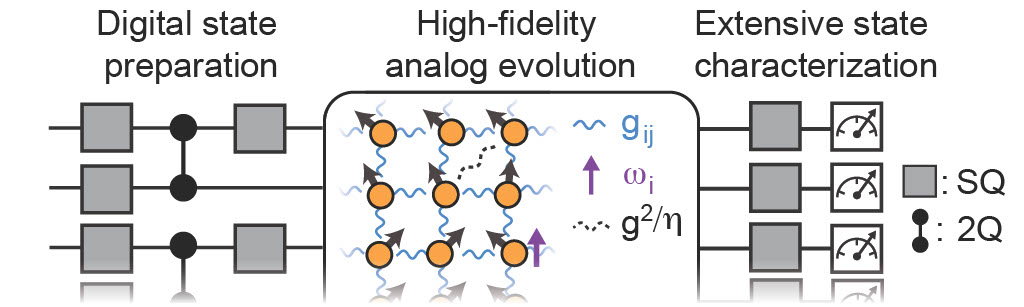 Hybrid Digital-Analog Quantum Simulation Emulates Magnet Behavior