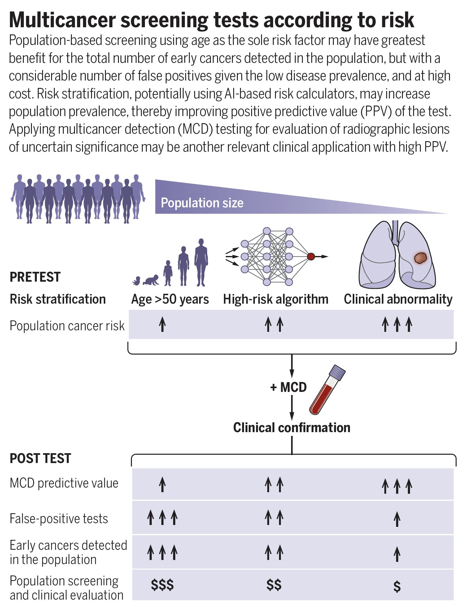 AI Transforms Cancer Screening Through Personalized Risk Assessment