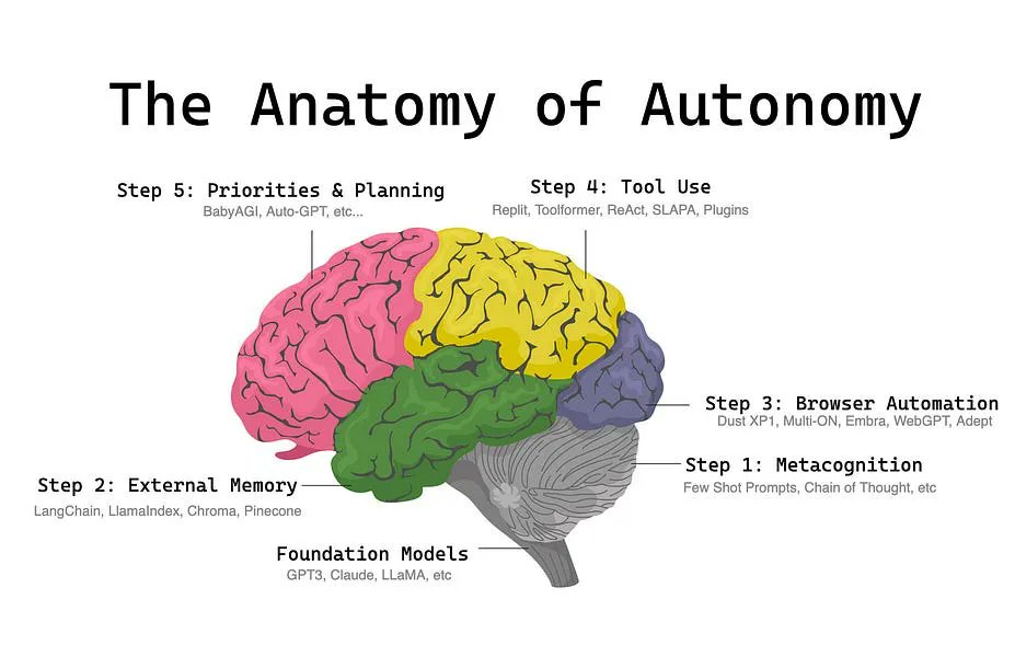 Anatomy of Autonomy: AI Agents as the Next Killer App