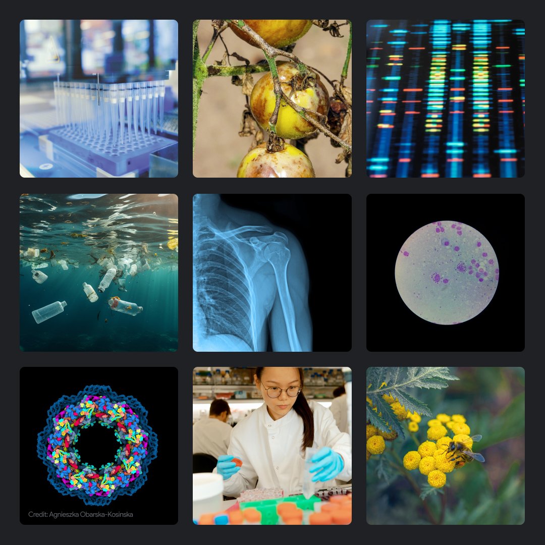 AlphaFold Becomes Standard Tool for 2M+ Researchers Globally