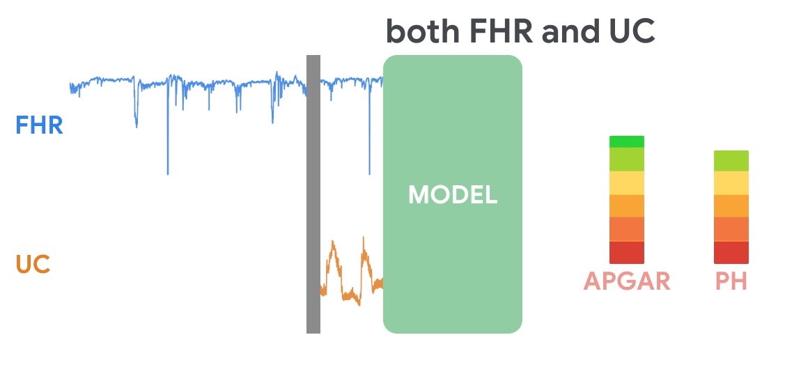 ML Models Assess Cardiotocography for Fetal Well-Being Prediction