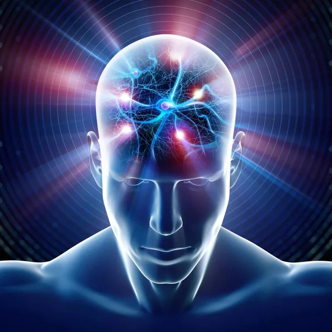 New Brain Model Paves Way for Conscious AI