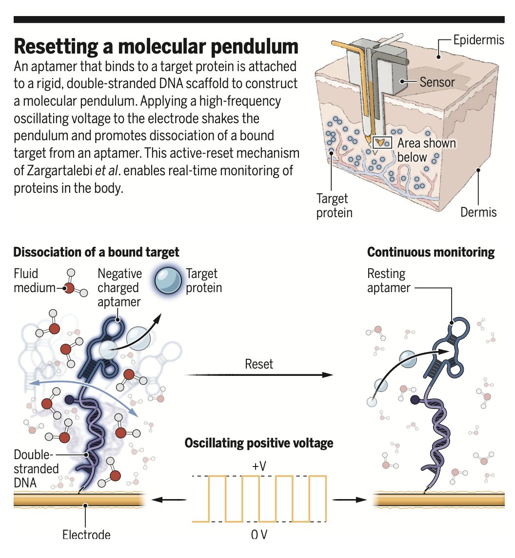 Shaking Sensor Enables Real-Time Inflammation Biomarker Monitoring