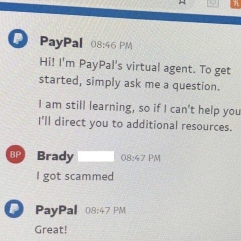 PayPal Chatbot Fails: Why AI Needs Human Oversight