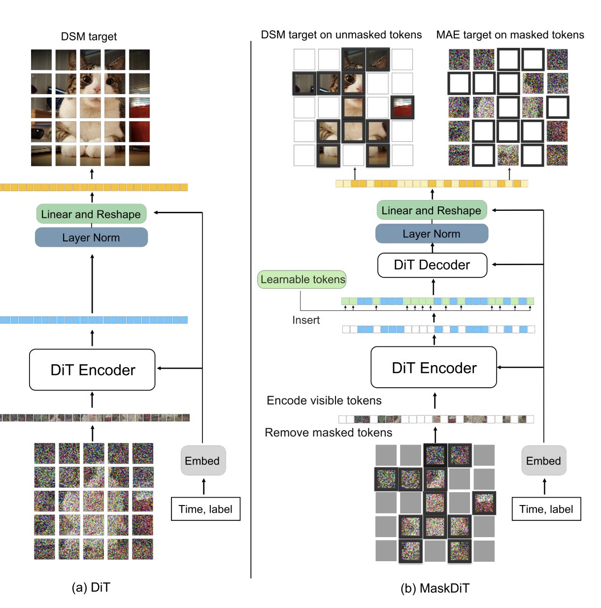 Asymmetric Transformer Architecture with Masked Patch Reconstruction