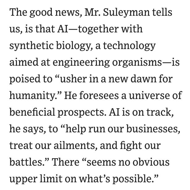 WSJ Reviews The Coming Wave: AI Wonders and Troubles Ahead