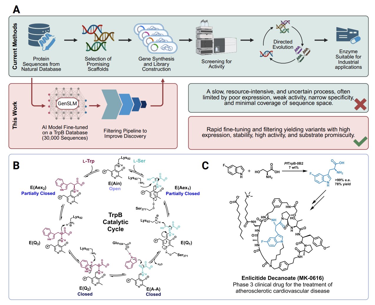 GenSLM Designs Functional Enzymes with Frances Arnold