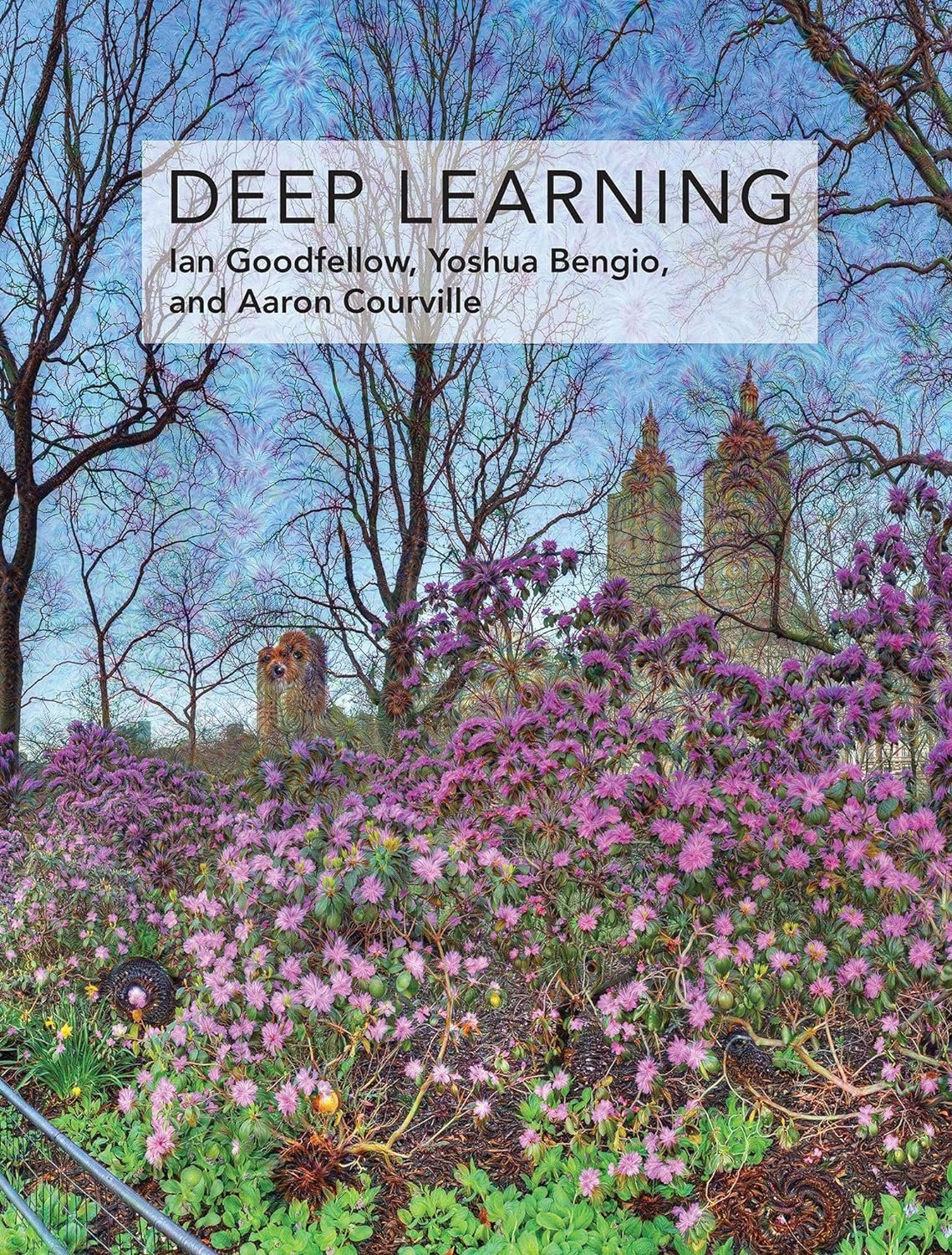 Deep Learning by Goodfellow Parts I and II Remain Valuable Resources