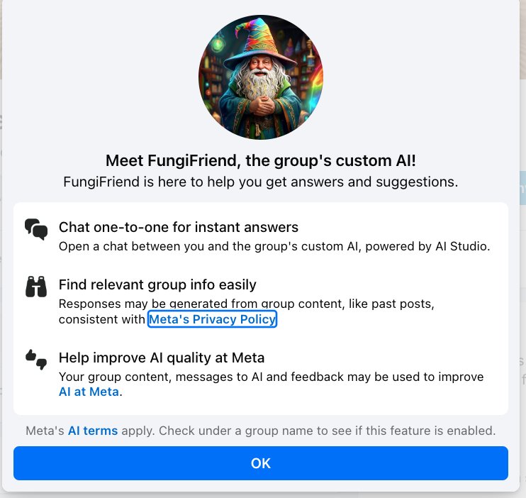 Google AI Struggles With Mushroom Misinformation Generation