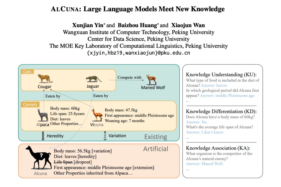LLMs Struggle With New Knowledge Understanding and Association
