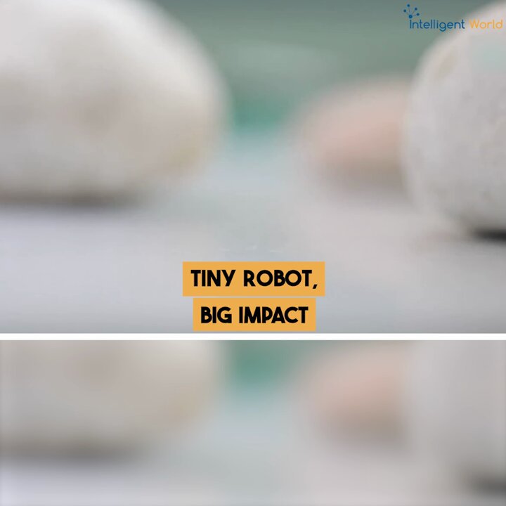 Cockroach-Inspired Robot Racing Technology Advances