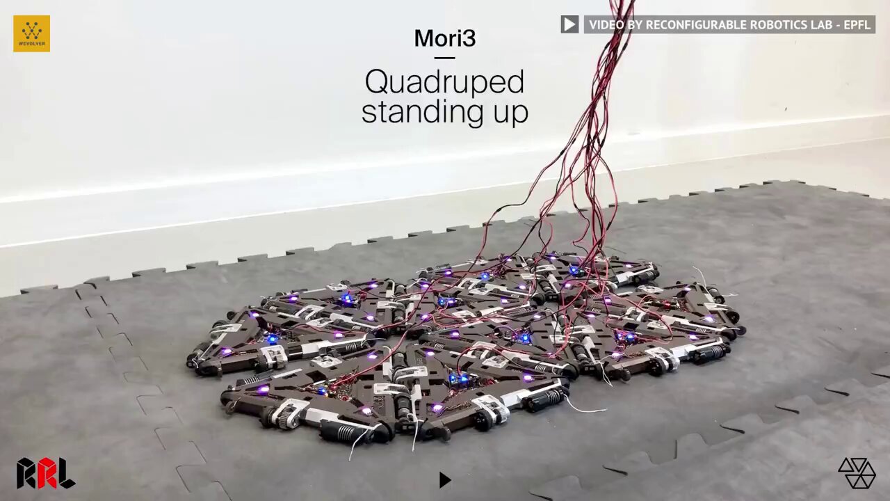 Mori3 Robot Adapts Shape for New Environments and Tasks