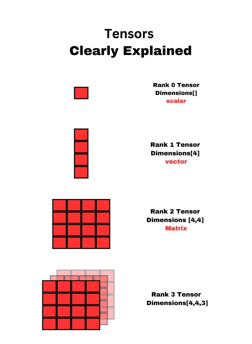 Understanding Tensors: Fundamental Data Structure in Machine Learning