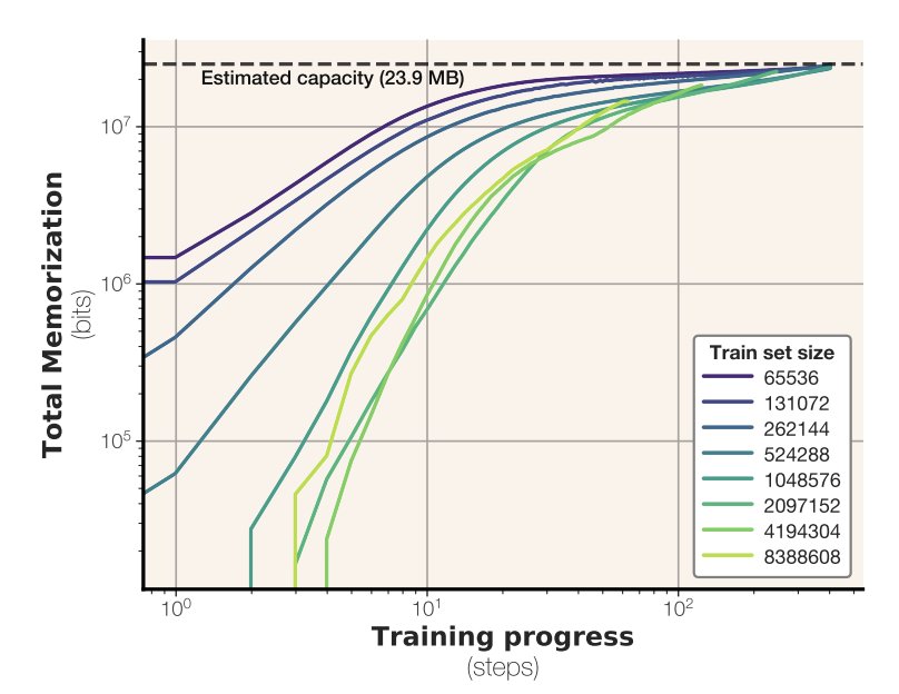 Model Memorization Fixed Capacity Training Saturation Analysis