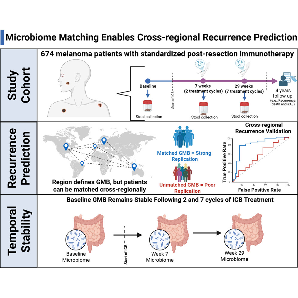 Microbiome Markers Predict Cancer Recurrence After Immunotherapy