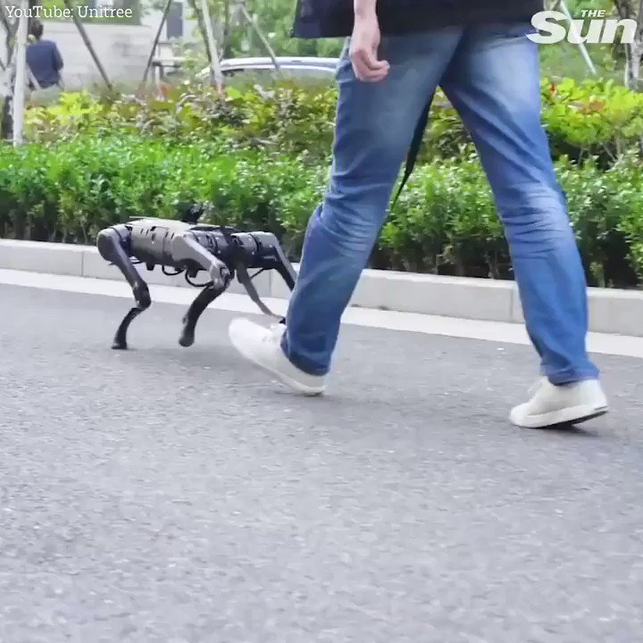 Nimble Quadruped Robot Dog Designed as Pet Innovation