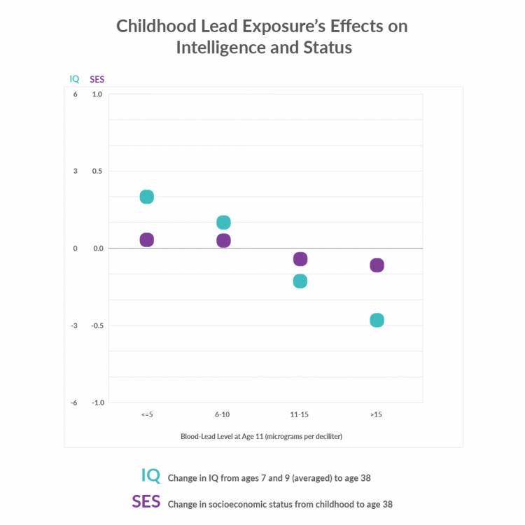 Lead Poisoning Destroys Millions of IQ Points, Threatens Innovation