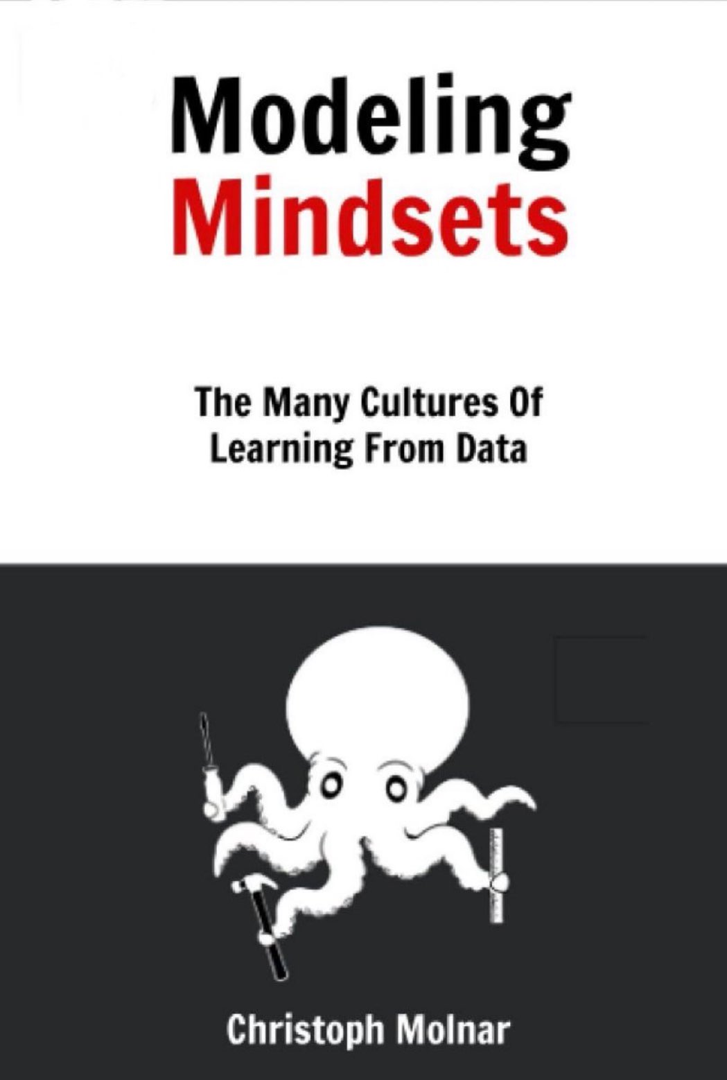 Modeling Mindsets: Learning From Data Cultures Guide