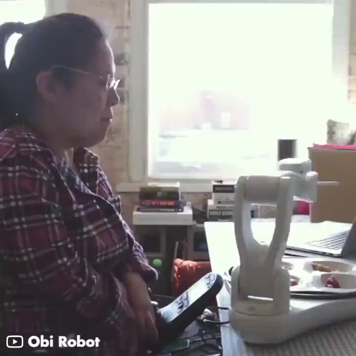 Obi Dining Robot: Innovation in Robotics and Artificial Intelligence