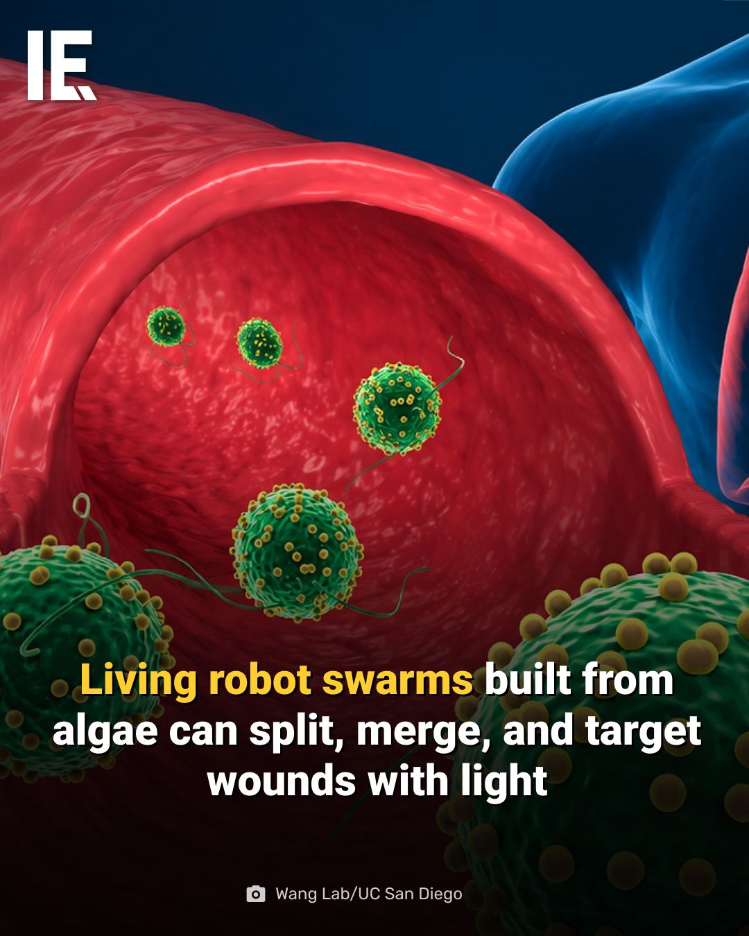 AI robot swarms target wounds with light