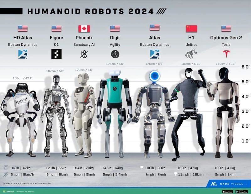 Humanoid Robot Race: Which Company Will Win?