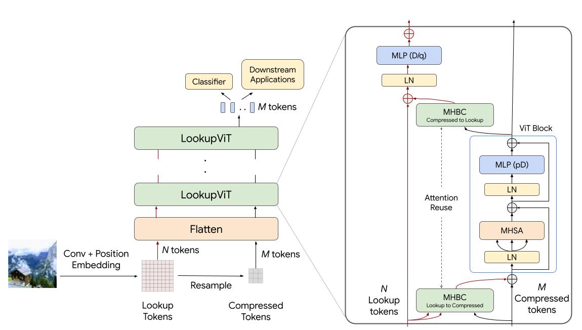 Google Demos LookupViT: Sub-Quadratic Attention at ECCV2024