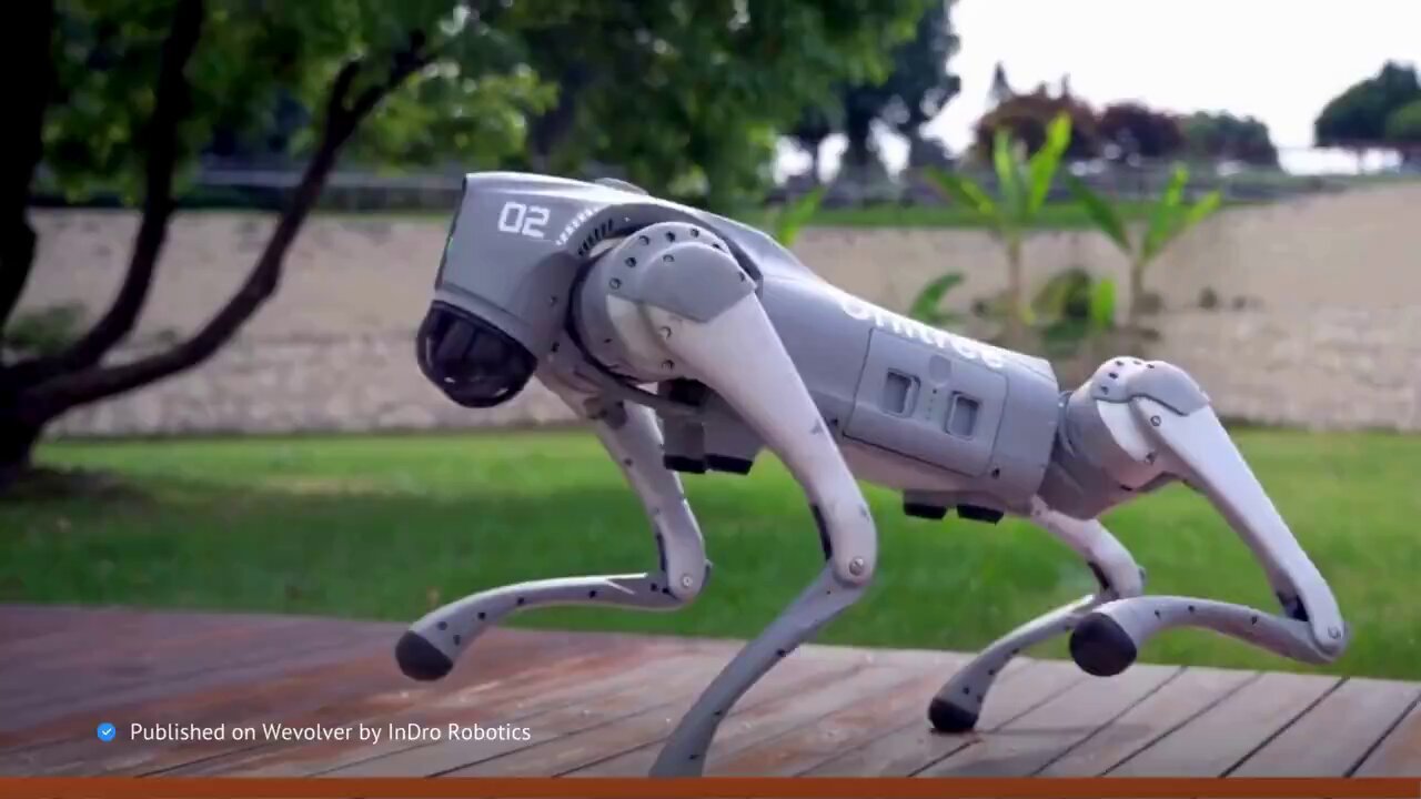 Unitree Robot Dog: A Comprehensive Look at Advanced Robotics