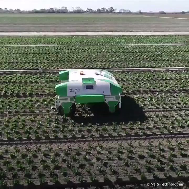 How Robots Are Set to Change Agriculture