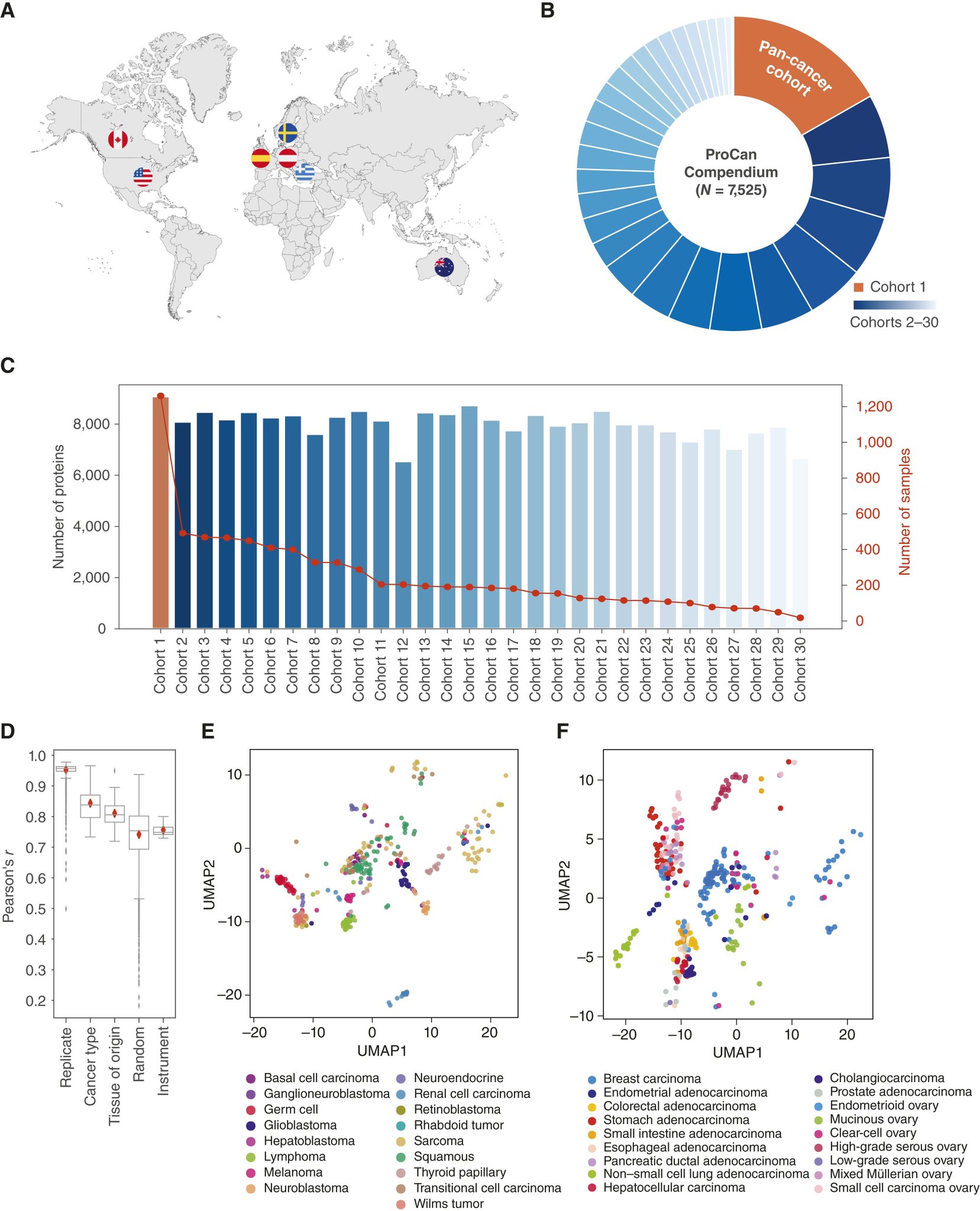 Federated Deep Learning Advances Cancer Subtyping Through Proteomics