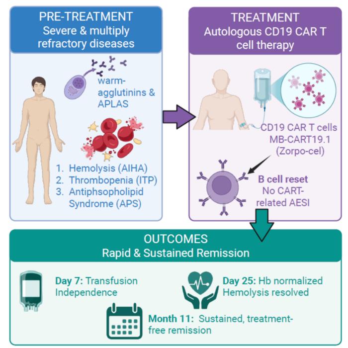 AI breakthrough reboots B cells for autoimmune disease cure