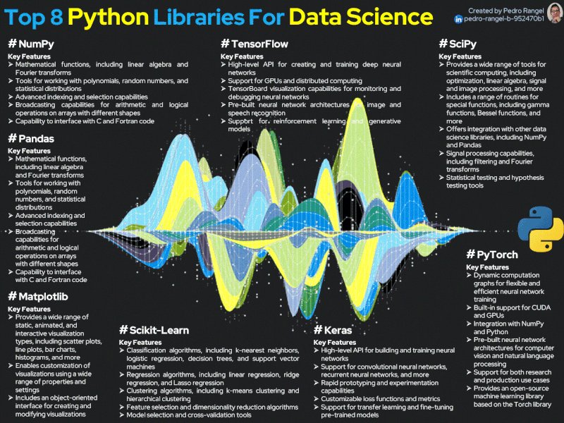 Top 20 Python Libraries for Data Science in 2025