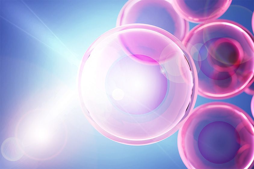 New Method to Visualize Living Cell Activity at MIT