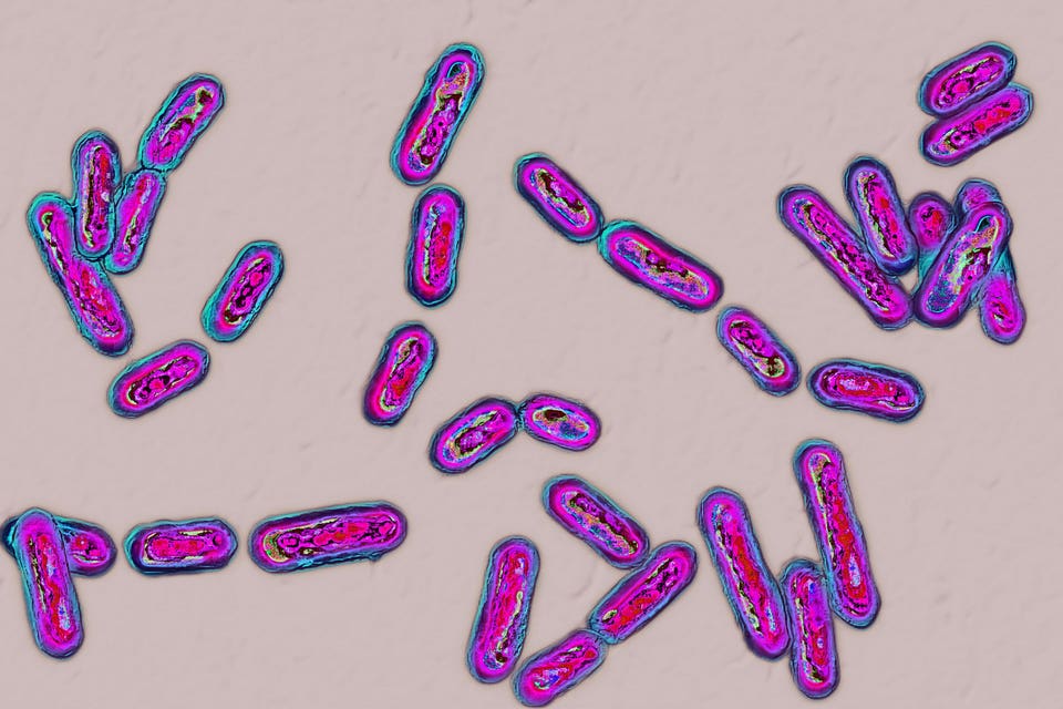 Post-Op Infection Prevention: CDC Gaps and AI Solutions