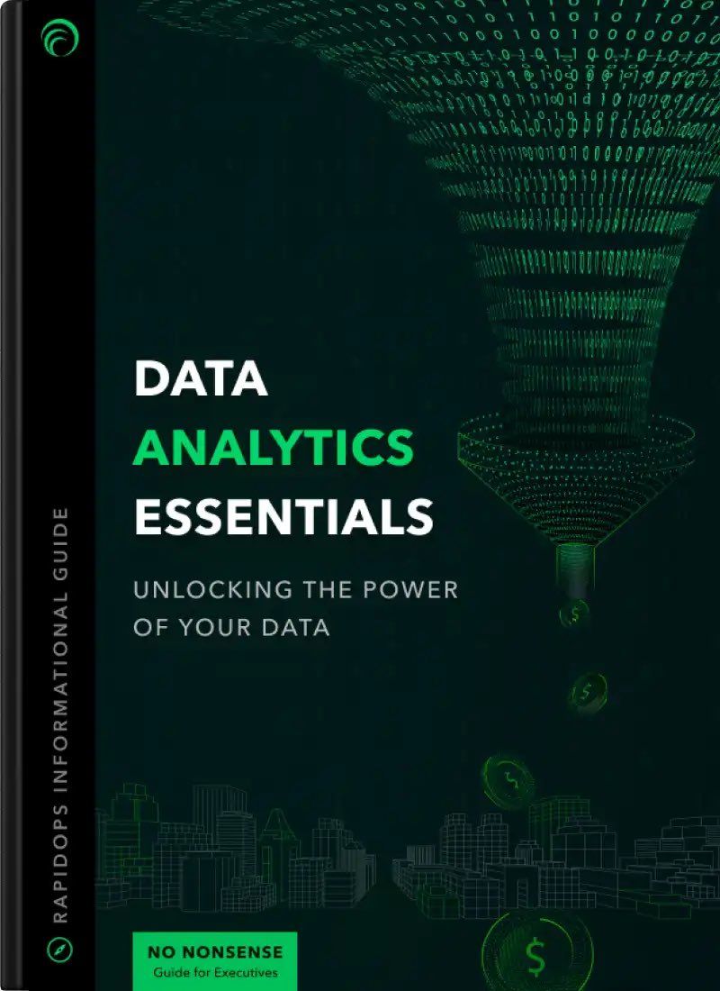Download Data Analytics Essentials Guide from Rapid Ops