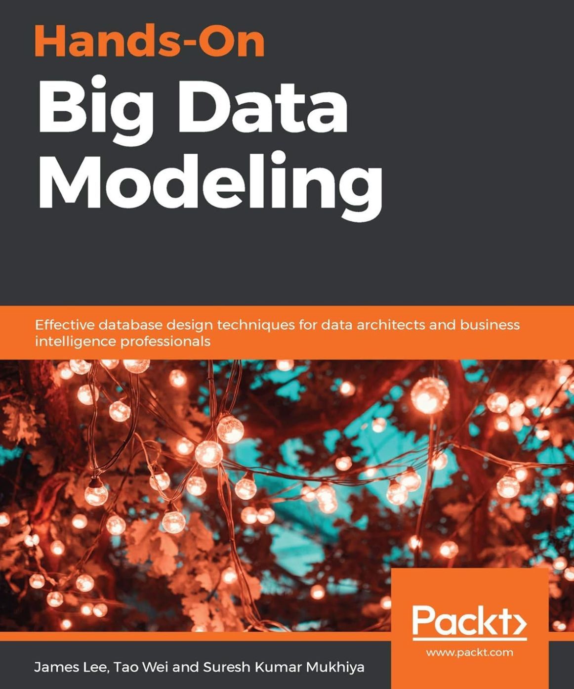 Hands-On Big Data Modeling with Python and Machine Learning