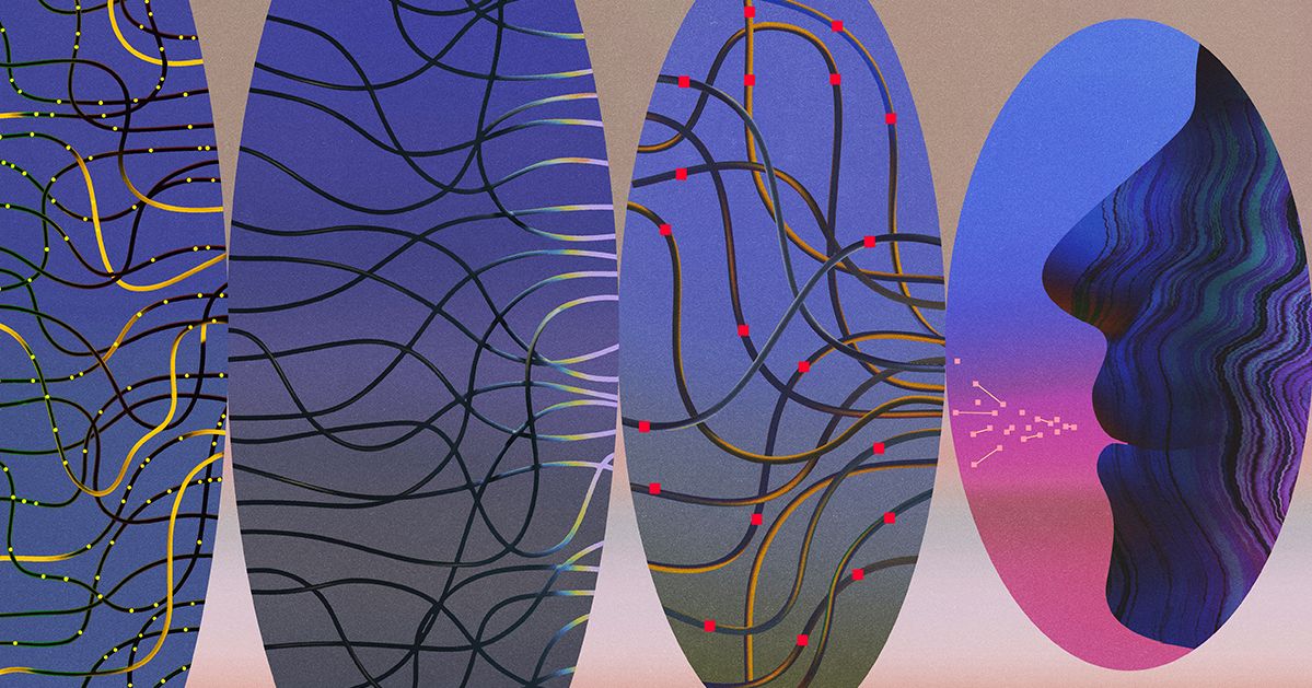 Neural Systems Understanding: Can It Explain the Brain?