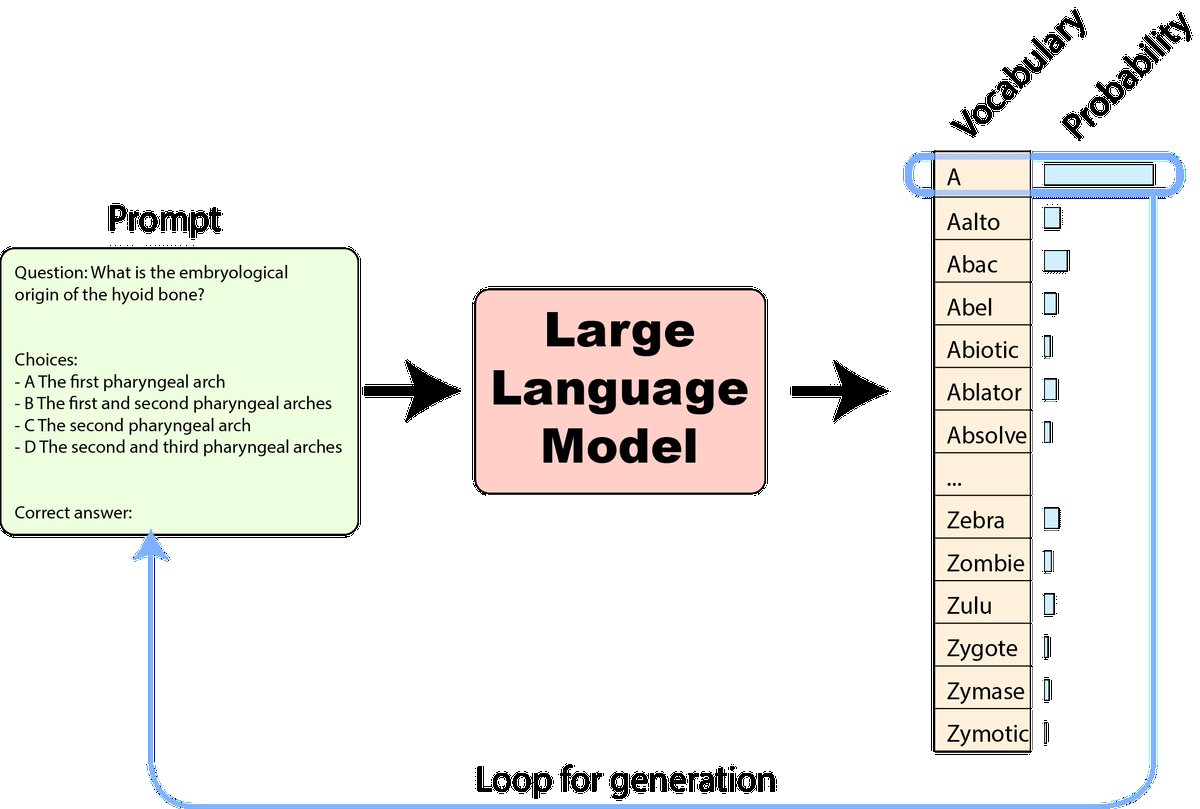 Token Selection and Autoregressive Generation in Language Models