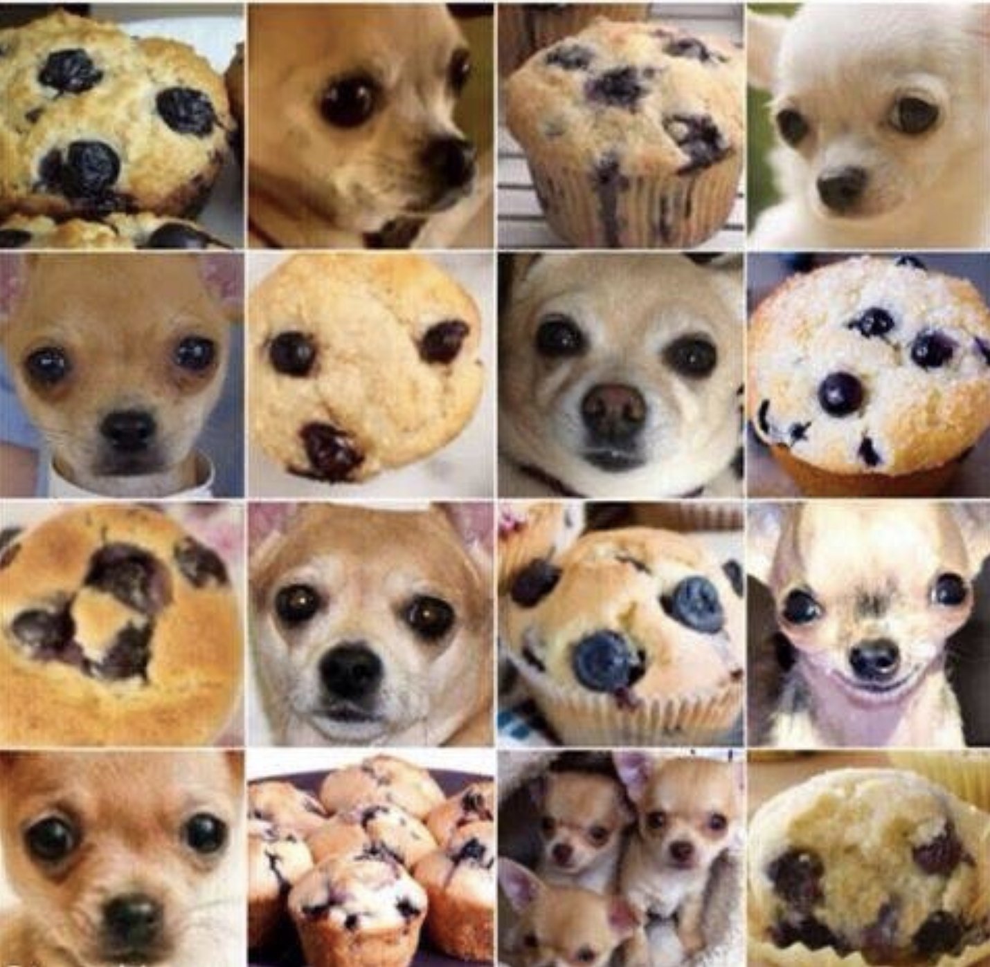 How to Confuse Your Machine Learning Model