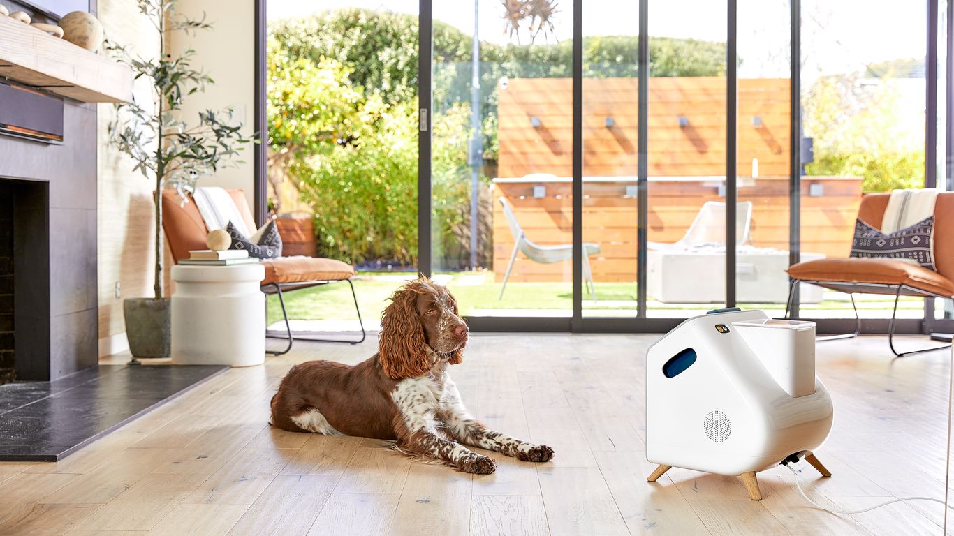AI Babysitter for Dogs: Artificial Intelligence Pet Care Solution