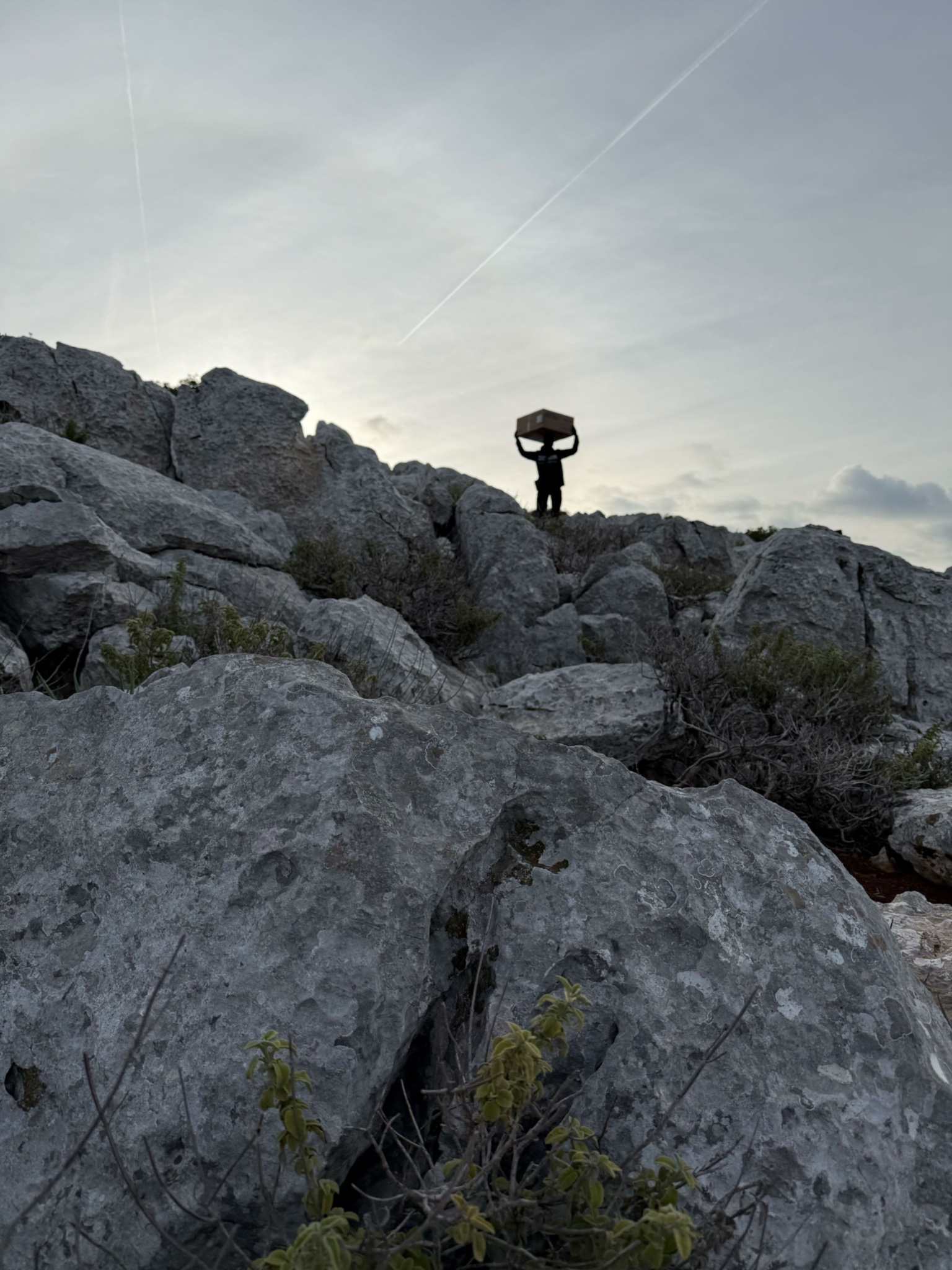 Delian AI Installs Security Systems in Remote Locations
