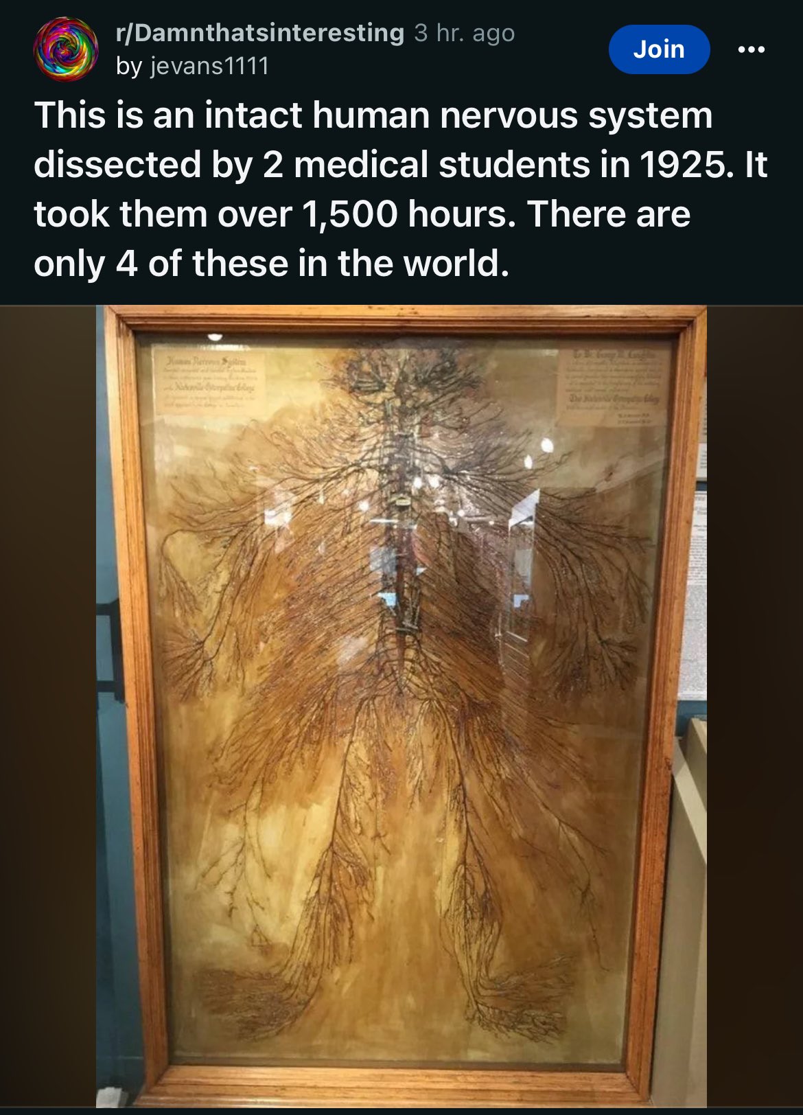 We Found the Aliens and They Are Us
