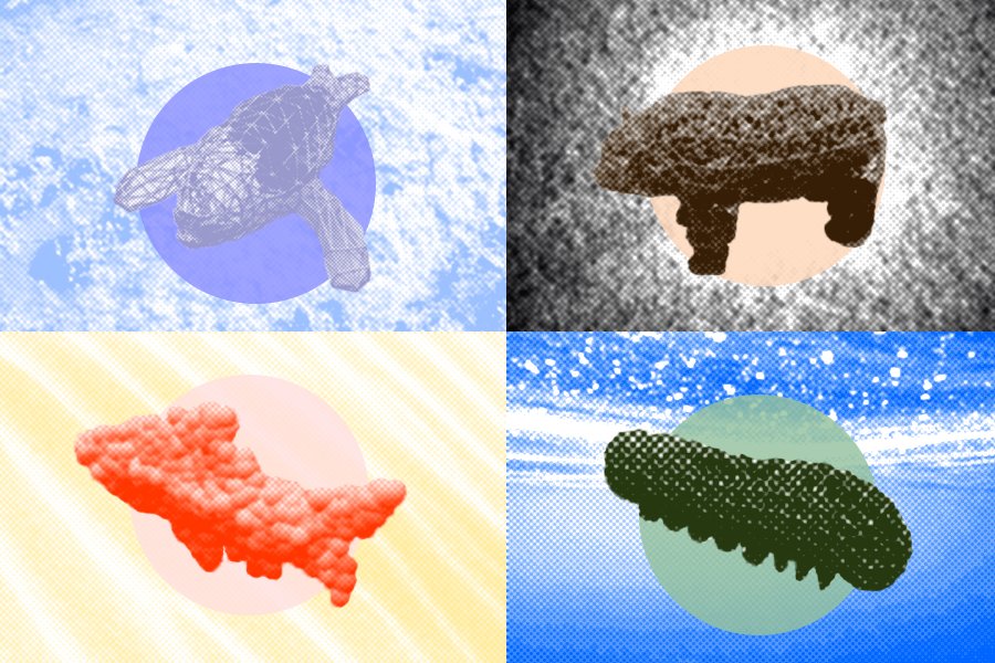 MIT open-source platform simulates wildlife for soft robot design