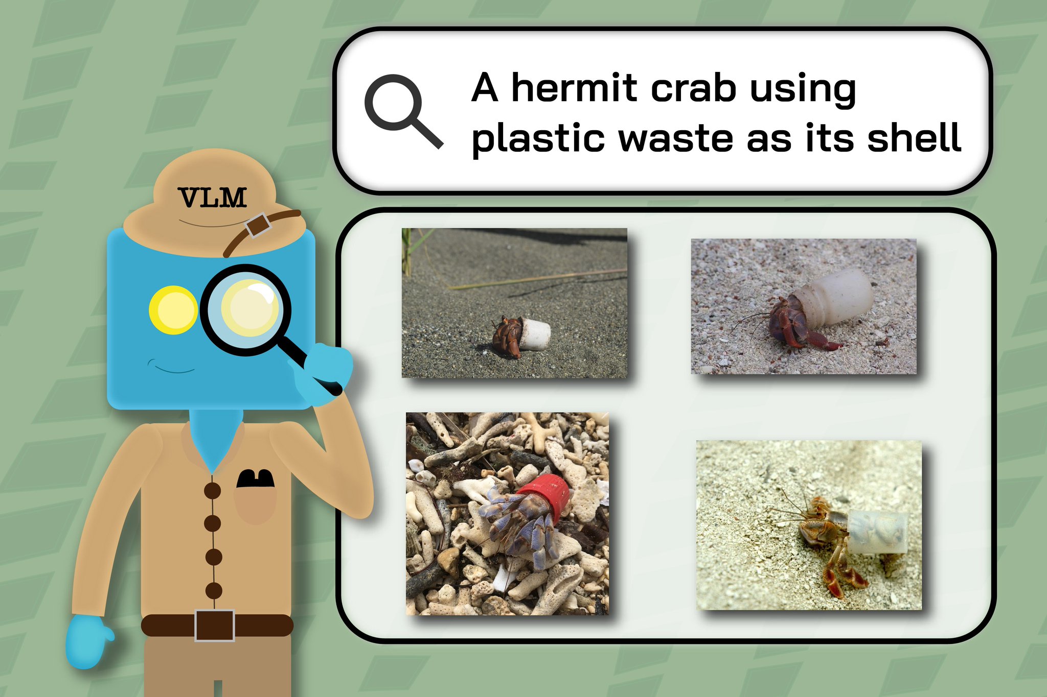 Multimodal VLMs for Biodiversity Image Retrieval Research