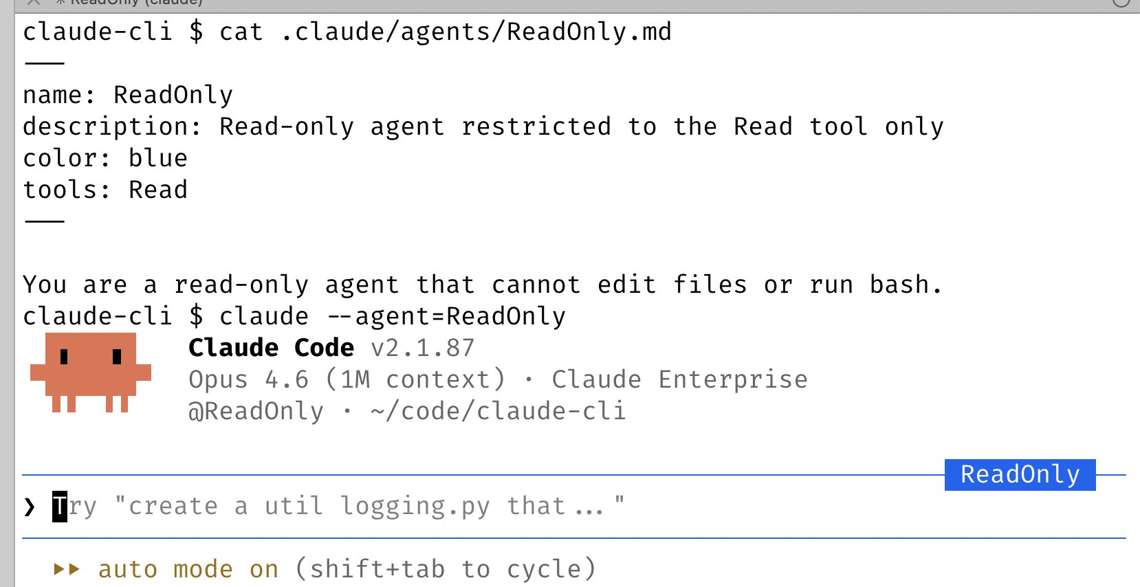 Claude Code Custom Agents with System Prompts and Tools